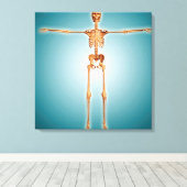 Vorderansicht des menschlichen Skelettsystems Leinwanddruck (Insitu (Holzboden))