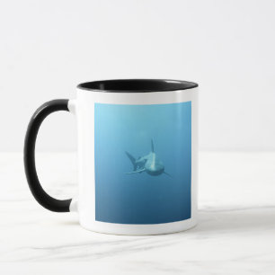 Vorderansicht eines Tiger-Haifischs Tasse