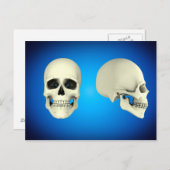 Vorderansicht und Seitenansicht des menschlichen S Postkarte (Vorne/Hinten)