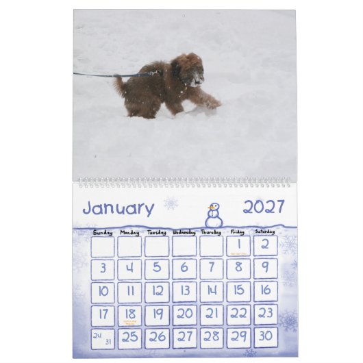 Vordere Abdeckung, Enzo-Kalender Kalender (Jan 2027)