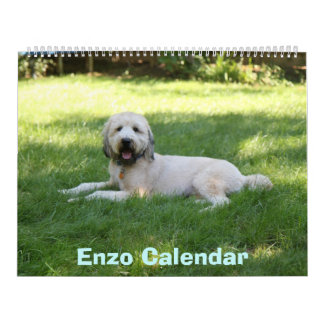 Vordere Abdeckung, Enzo-Kalender Kalender