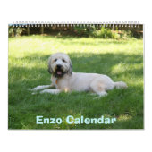 Vordere Abdeckung, Enzo-Kalender Kalender (Titelbild)