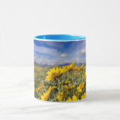 Vordere Bergkette der Rocky Mountains Tasse (Zentrum)