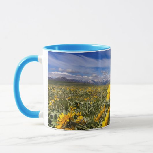 Vordere Bergkette der Rocky Mountains Tasse (Links)