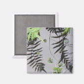 Vordere Reflektionen Magnet (Vorderseite/Rückseite)