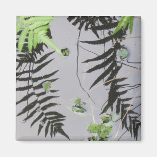 Vordere Reflektionen Magnet