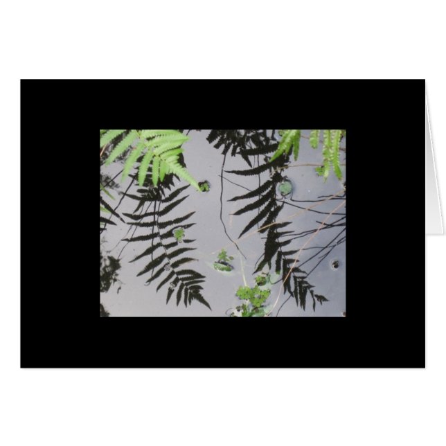 Vordere Reflexionen (Vorderseite (Horizontal))