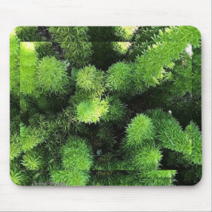 Vordermousepad Mousepad