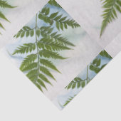 Vorderseite mit Textfläche Seidenpapier (Ausschnitt)