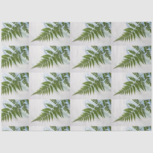 Vorderseite mit Textfläche Seidenpapier (Vorderseite)