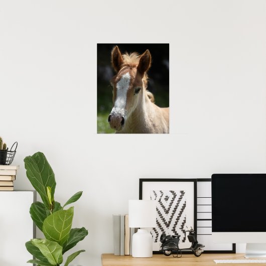 Vorderseite Poster (Heimbüro)