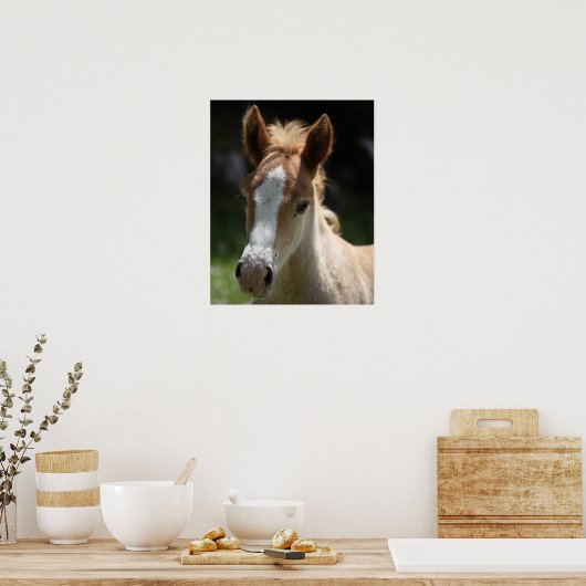 Vorderseite Poster (Küche)