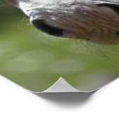 Vorderseite Poster (Ecke)