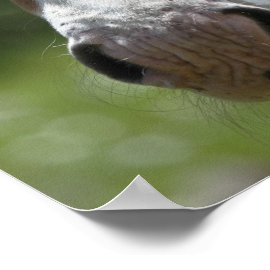 Vorderseite Poster (Ecke)