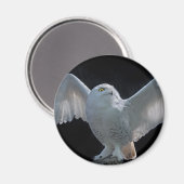 Vorflug-Karo-Magnet Magnet (Vorderseite/Rückseite)