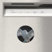 Vorflug-Karo-Magnet Magnet (In Situ (Geschirrspüler))