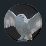 Vorflug-Karo-Magnet Magnet<br><div class="desc">Schneeauge (Bubo scandiacus)</div>