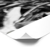 Vorfrühling-Bestäubung Poster (Ecke)