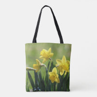 Vorfrühling-Narzissen Nordminnesota