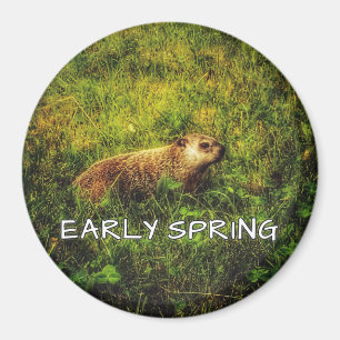 Vorfrühlingmagnet Magnet