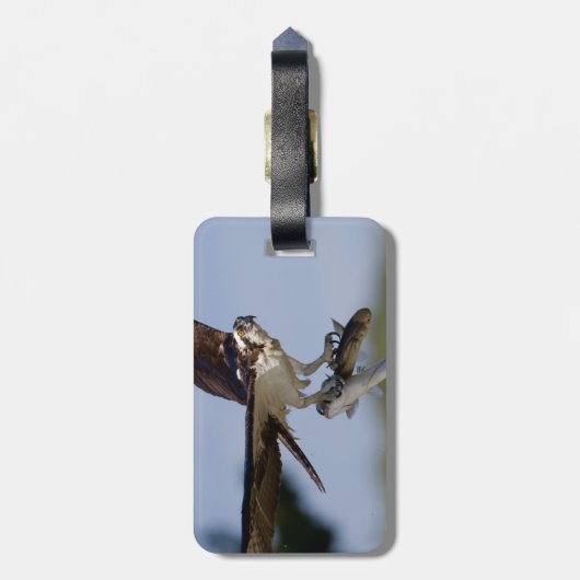 Vorführen Gepäckanhänger (Rückseite vertikal)