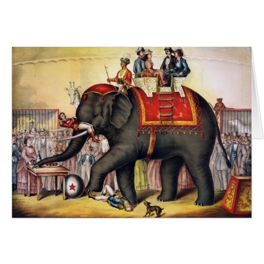 Vorführender Elefant (Vorderseite (Horizontal))