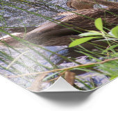 Vorgeburt unter den Rushes. Fotodruck (Ecke)