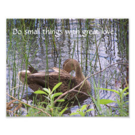 Vorgeburt unter den Rushes. Fotodruck