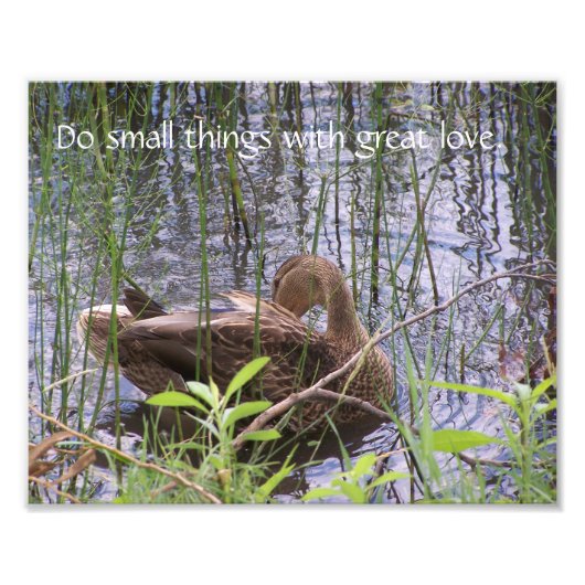 Vorgeburt unter den Rushes. Fotodruck (Vorne)