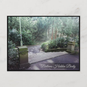 Vorgelagerte Treppe: Postkarte