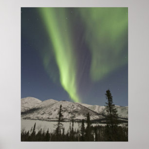 Vorhänge der Aurora borealis tanzen über den Himme Poster
