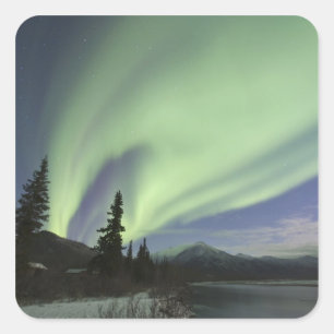 Vorhänge des grünen Polarlichts am Himmel Quadratischer Aufkleber