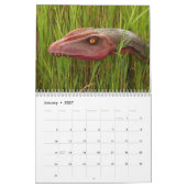 Vorhistorische Dinosaurier 2026 Kalender (Jan 2027)