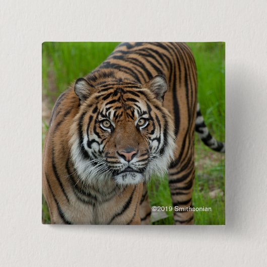 Vorlage Button (Vorderseite)