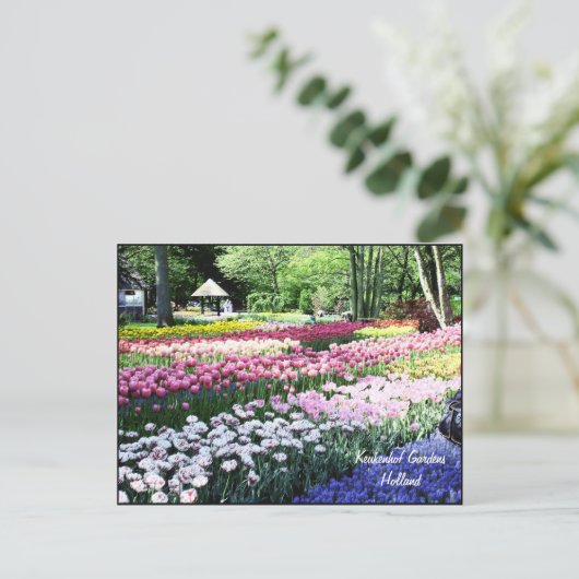 Vorlage der Postkarte, Blumengärten Postkarte (Stehend Vorderseite)