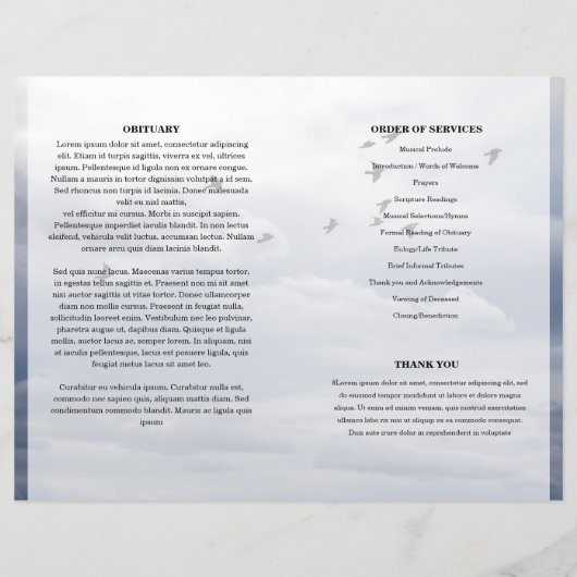 Vorlage des Blue Sky Funerary Program (Rückseite)