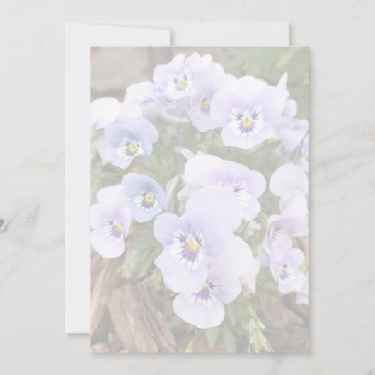 Vorlage des Foto-Brautparty für Lila Stiefmütterch (Rückseite)