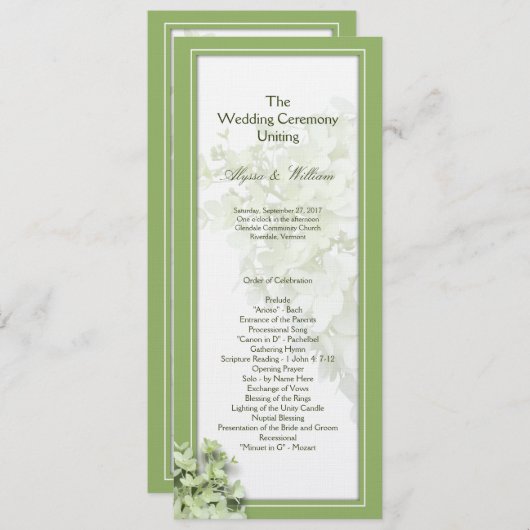 Vorlage des Limelight Tall Hydrangea-Hochzeitsprog (Vorne/Hinten)