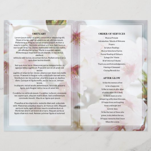 Vorlage des Programms zur Beerdigung von weißer Bl (Rückseite)