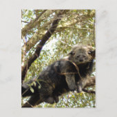 Vorlage für 12x18 postkarte (Vorderseite)