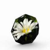 Vorlage für achteckige Fotos (Links)