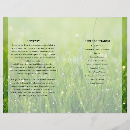 Vorlage für das Programm zur Beerdigung grüner Nat (Rückseite)