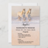 Vorlage für das Winterpferd-Wochenende (Vorderseite)