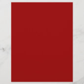 Vorlage für den Flyer politischer Kampagnen (Hinten)