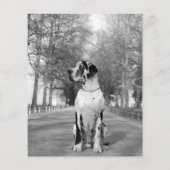 Vorlage für den Hund-Flyer Flyer (Hinten)