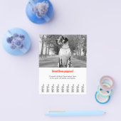 Vorlage für den Hund-Flyer Flyer (Einzeln)