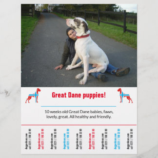 Vorlage für den Hund-Flyer Flyer