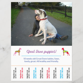 Vorlage für den Hund-Flyer Flyer