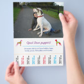 Vorlage für den Hund-Flyer Flyer (Hand)