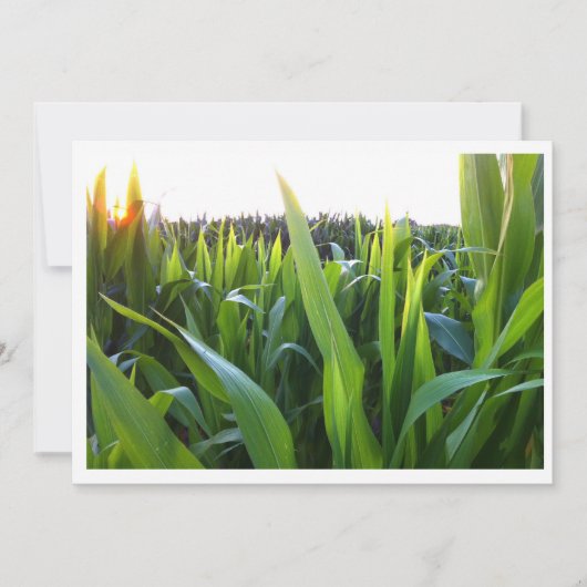 Vorlage für die Einladung von Maisfeldernte-Foto (Vorderseite)